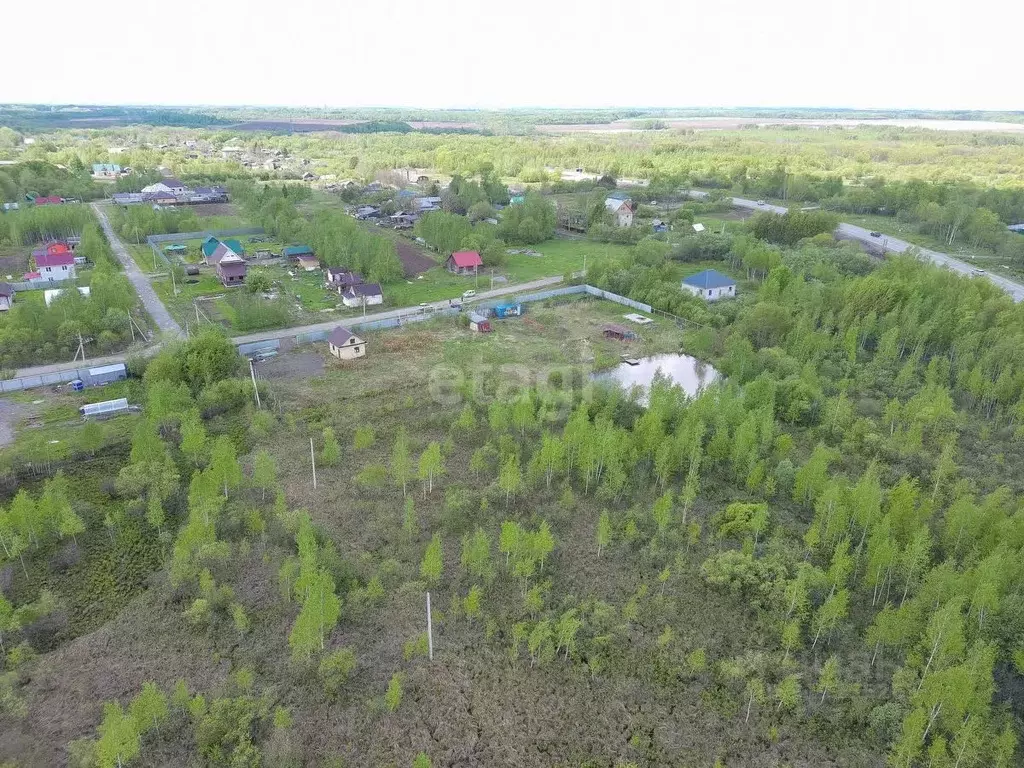 Участок в Хабаровский край, Хабаровский район, с. Черная Речка пер. ... - Фото 2