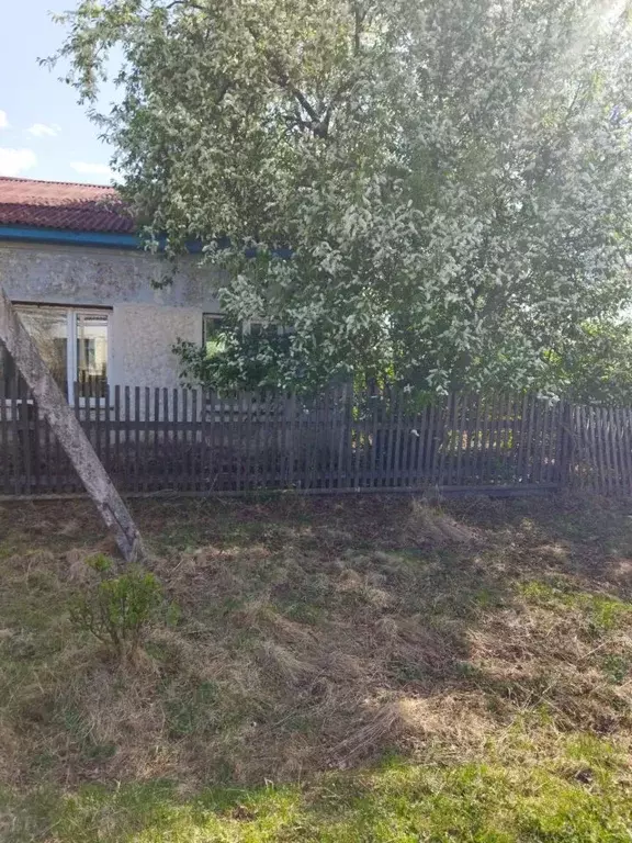 Офис в Амурская область, Зейский муниципальный округ, с. Чалбачи ул. ... - Фото 1