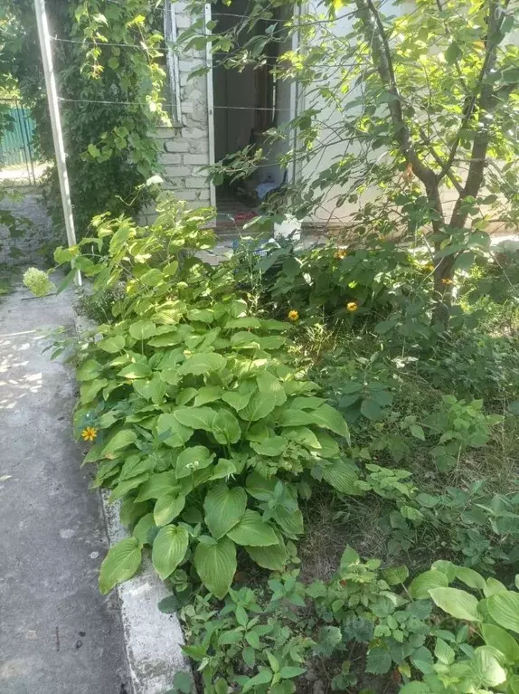 Дом в Волгоградская область, Городищенский район, Ерзовское городское ... - Фото 1