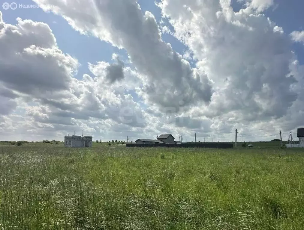 Участок в Калининградская область, Гурьевский муниципальный округ, ... - Фото 2