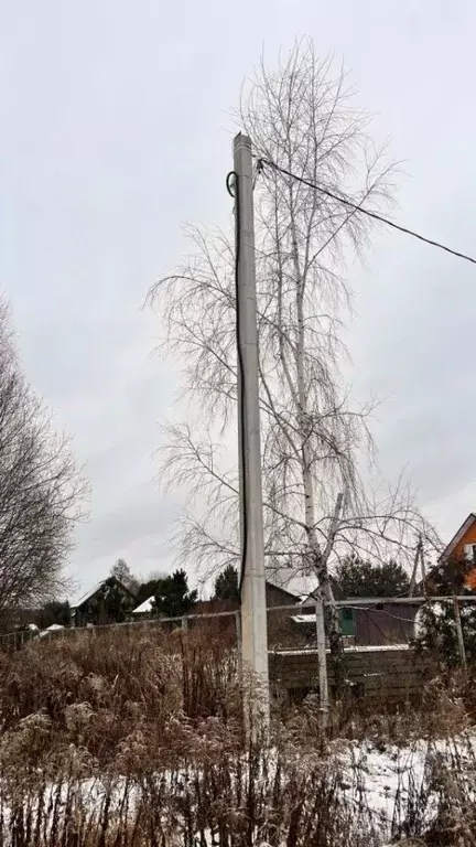 Участок в Тульская область, Тула городской округ, д. Федоровка 10 ... - Фото 2