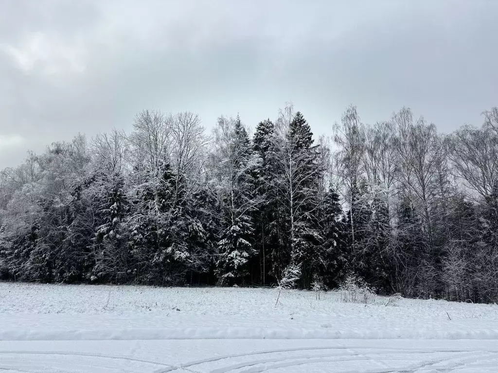 Участок в Московская область, Пушкинский городской округ, д. Алешино, ... - Фото 2