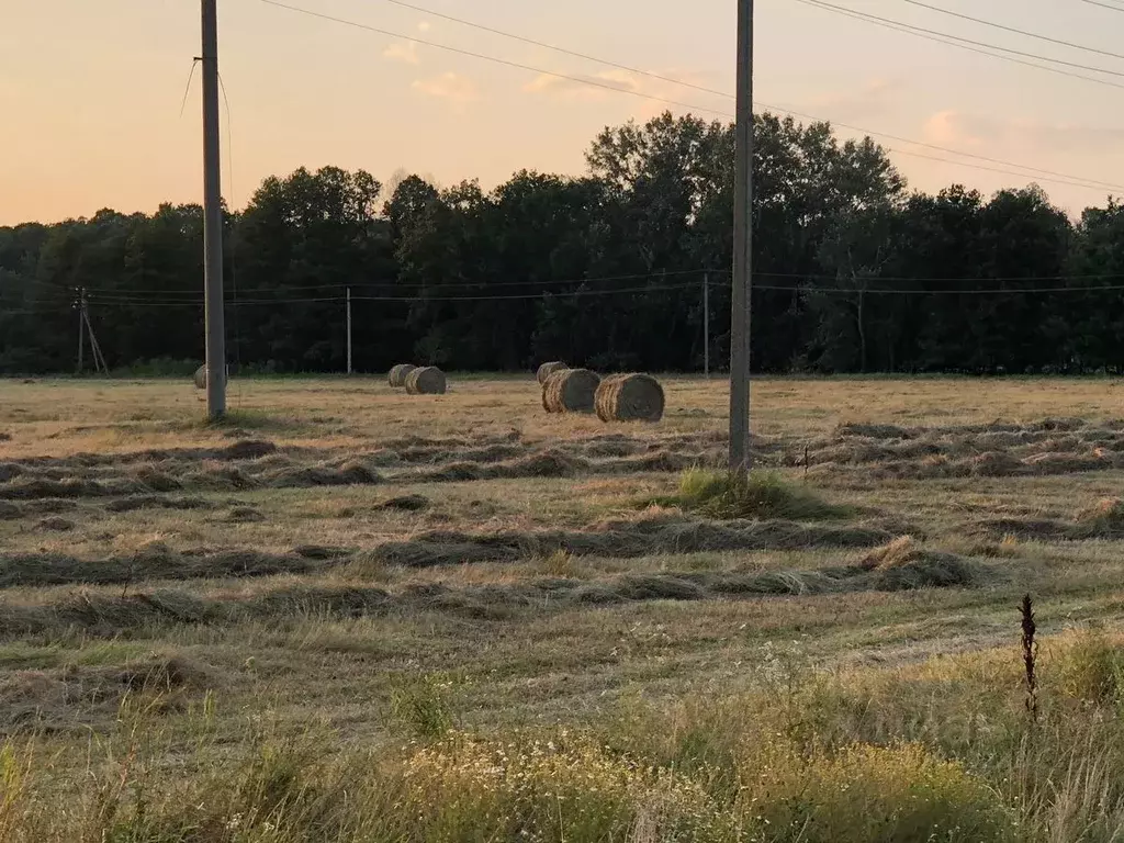 Участок в Краснодарский край, Горячий Ключ М-4 Дон, 1382-й км (416.0 ... - Фото 1