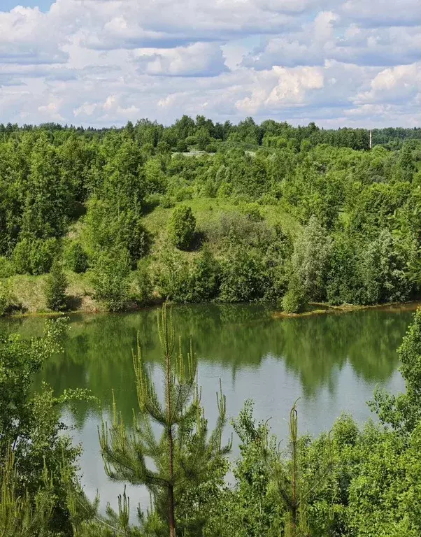 Участок в Московская область, Сергиево-Посадский городской округ, д. ... - Фото 2