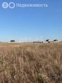 Участок в Тукаевский район, Малошильнинское сельское поселение, село ... - Фото 2