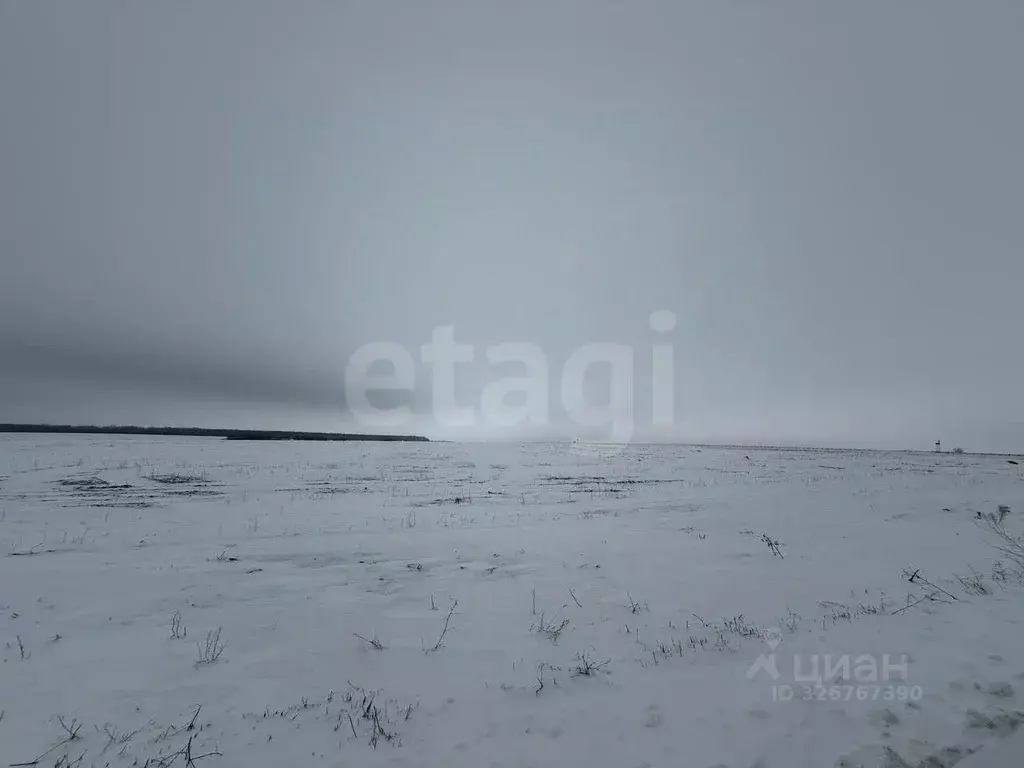Участок в Белгородская область, Яковлевский муниципальный округ, с. ... - Фото 2