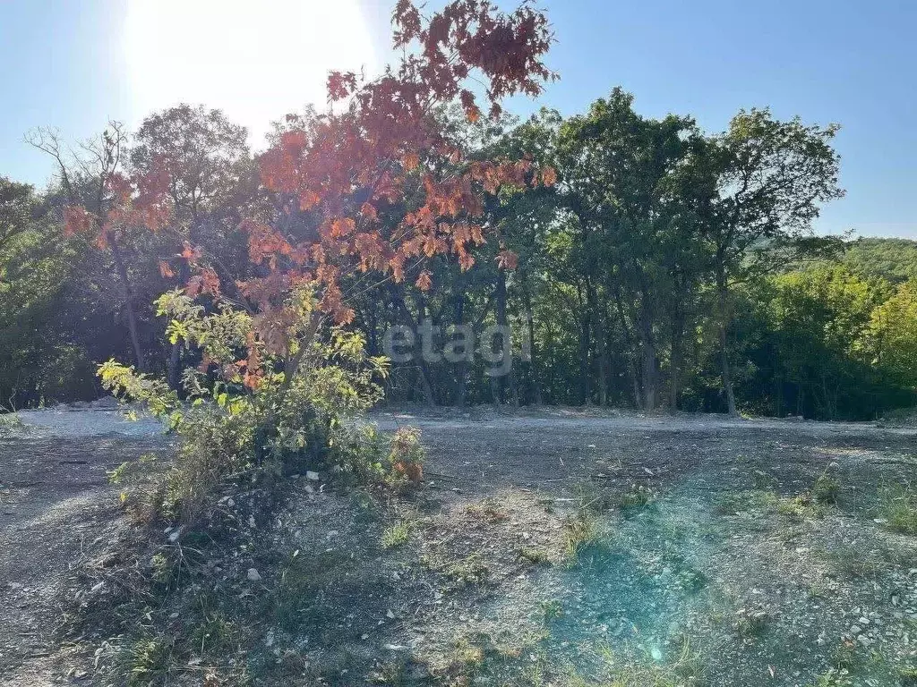 Участок в Краснодарский край, Новороссийск ул. Вербная (4.0 сот.) - Фото 2