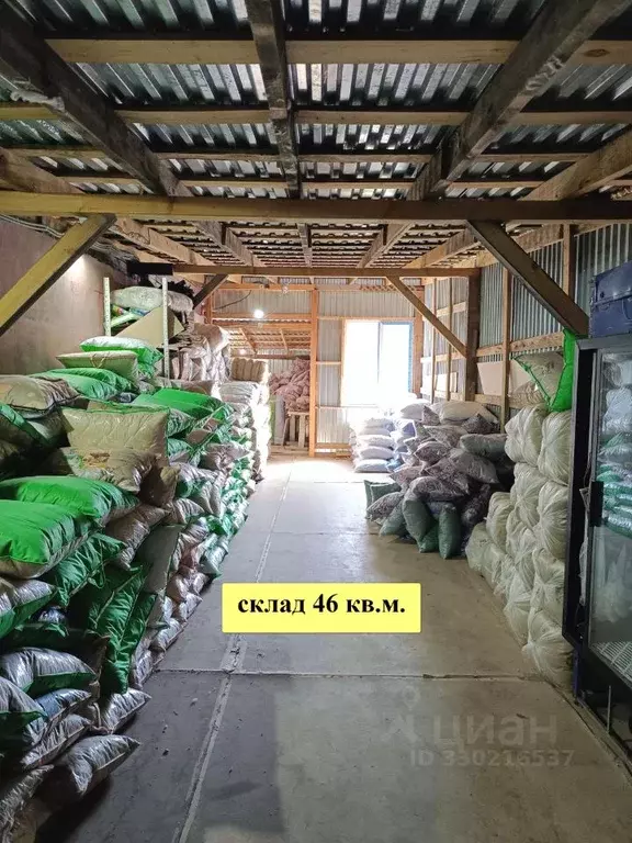 Помещение свободного назначения в Челябинская область, Челябинск Слава ... - Фото 1