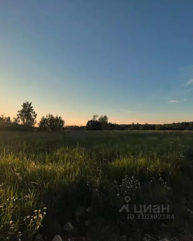 Участок в Московская область, Щелково городской округ, д. Каблуково ... - Фото 1