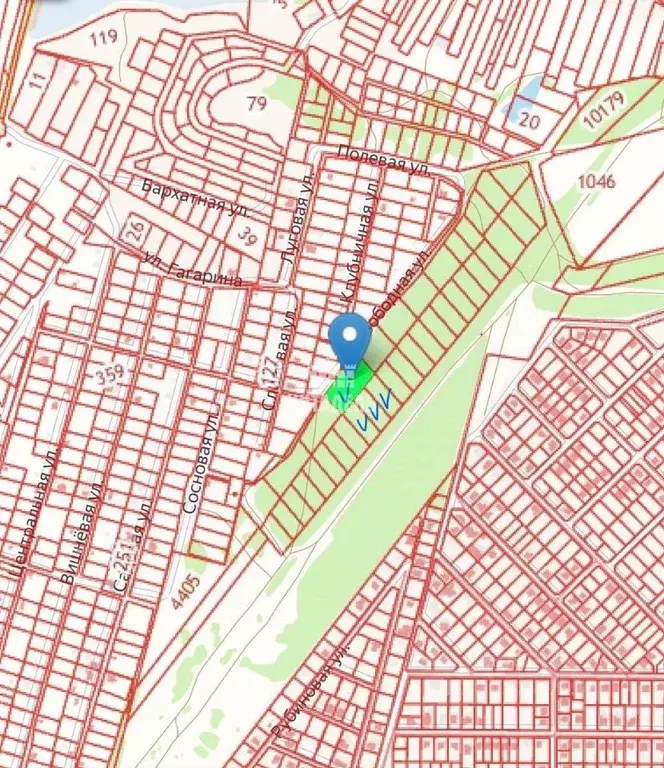 Участок в Воронежская область, Рамонский район, с. Новоживотинное  ... - Фото 2