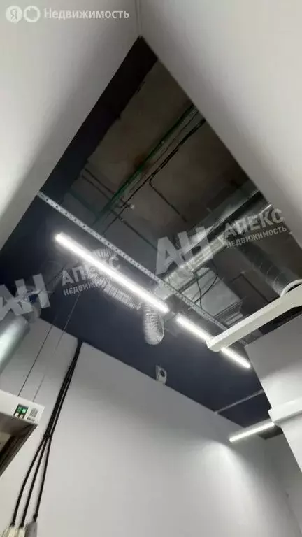 Помещение свободного назначения (50 м) - Фото 1