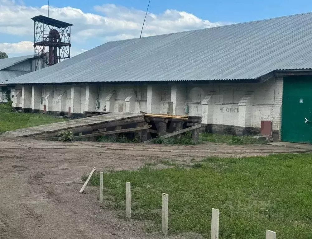 Помещение свободного назначения в Воронежская область, Острогожский ... - Фото 2