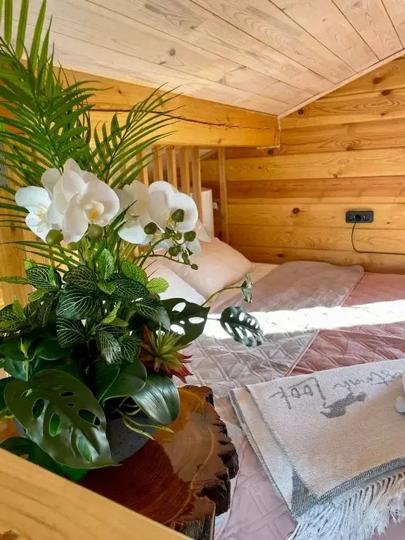 Дом в Иркутская область, Ольхонский район, Хужирское муниципальное ... - Фото 1