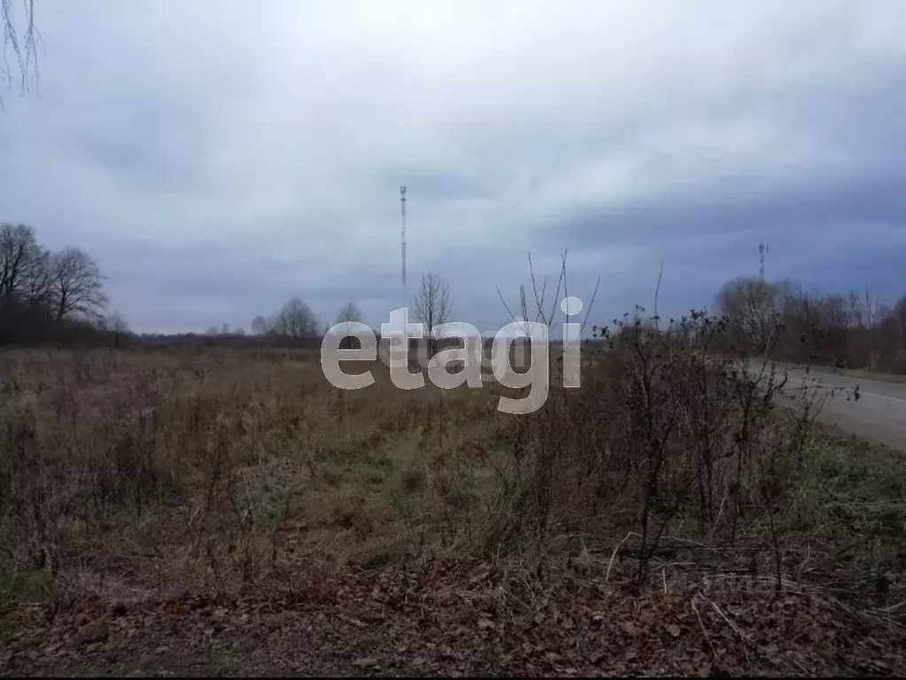 Участок в Калужская область, Дзержинский район, Совхоз Чкаловский ... - Фото 0