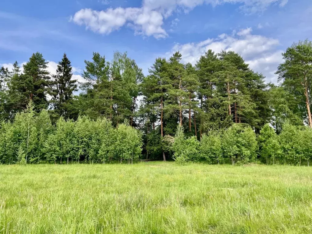 Участок в Московская область, Пушкино Чистые Пруды мкр, проезд ... - Фото 2