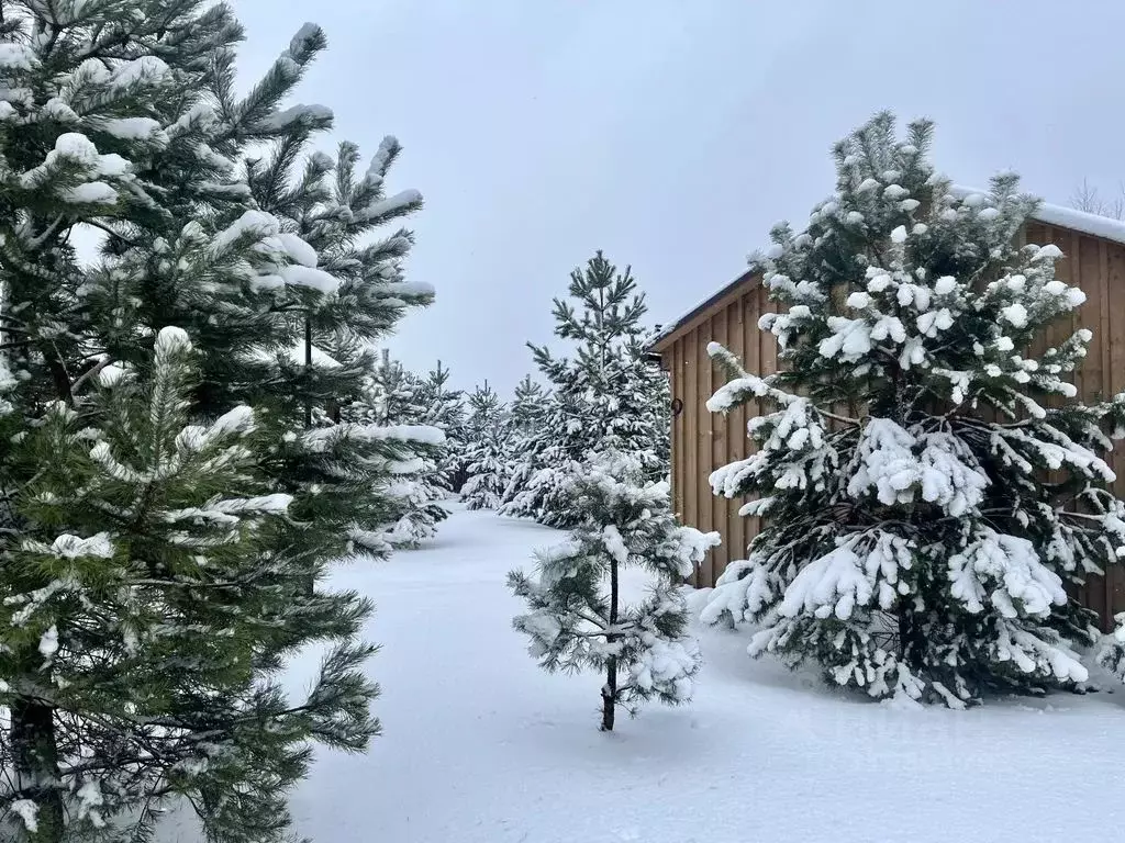 Дом в Московская область, Одинцовский городской округ, д. Новошихово, ... - Фото 2
