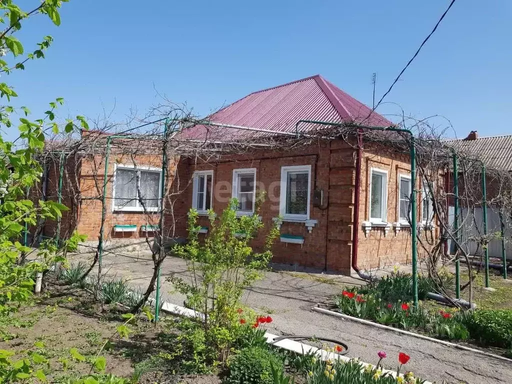 Дом в Краснодарский край, Щербиновский район, Старощербиновская ст-ца ... - Фото 0