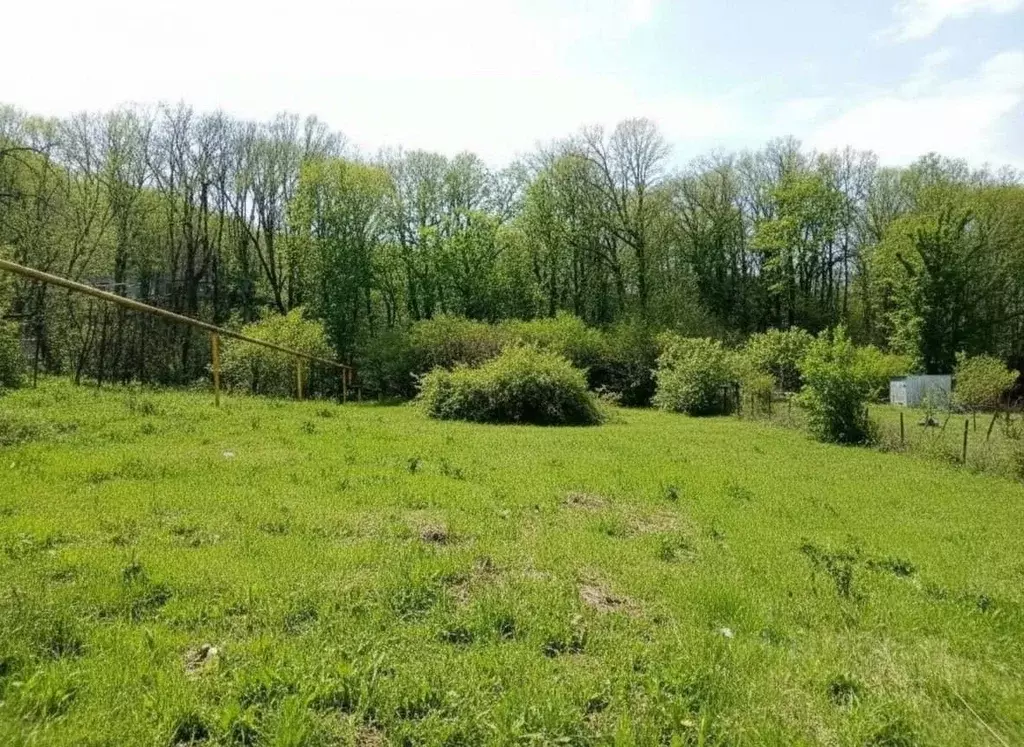 Участок в Краснодарский край, Геленджик городской округ, с. Пшада ул. ... - Фото 1