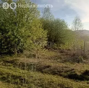 Участок в Майминский район, СТ Чуйское (4.4 м) - Фото 1
