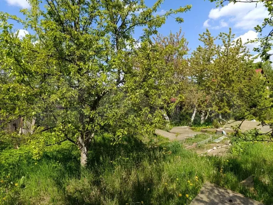 Дом 47 м на участке 15 сот. - Фото 0