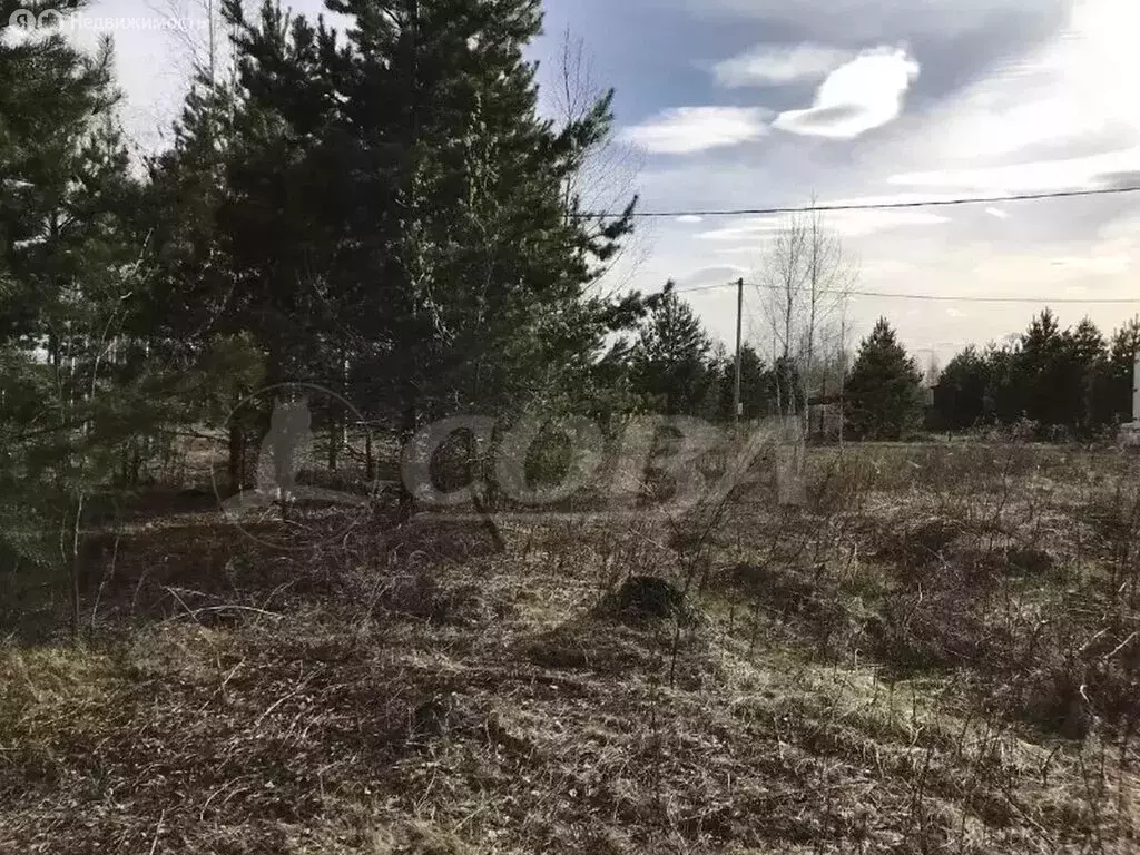 Участок в Ялуторовский район, село Сингуль Татарский (16 м) - Фото 1