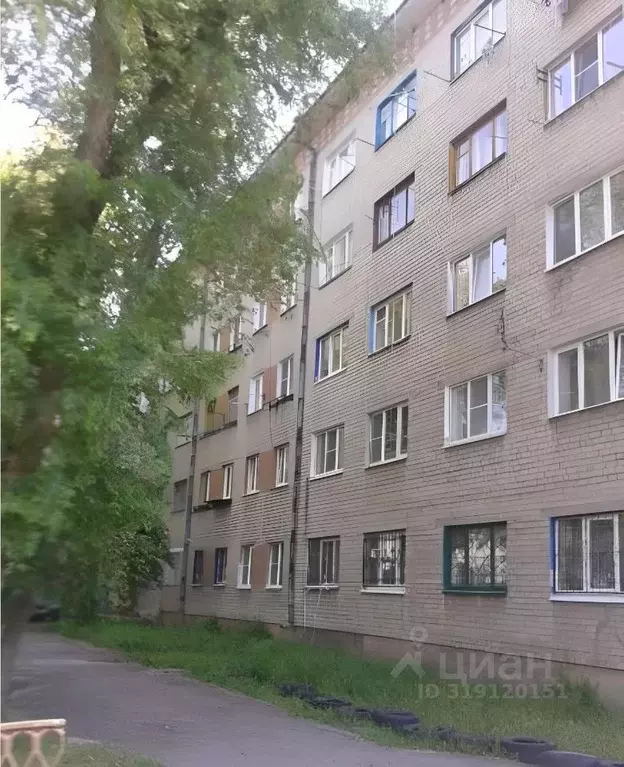 1-к кв. Воронежская область, Воронеж ул. Чебышева, 10 (17.9 м) - Фото 0