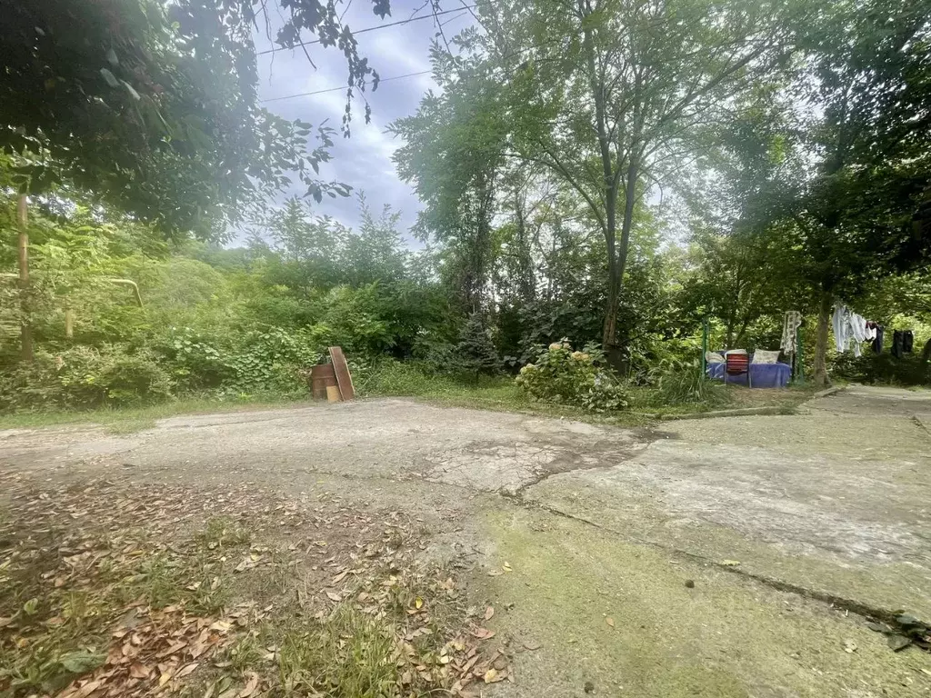 Дом в Краснодарский край, Сочи городской округ, с. Богушевка ул. ... - Фото 1