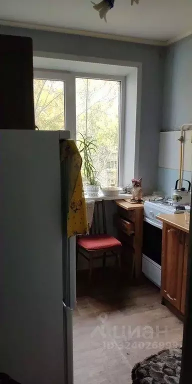 1-к кв. Липецкая область, Липецк ул. Космонавтов, 49/4 (30.3 м) - Фото 2