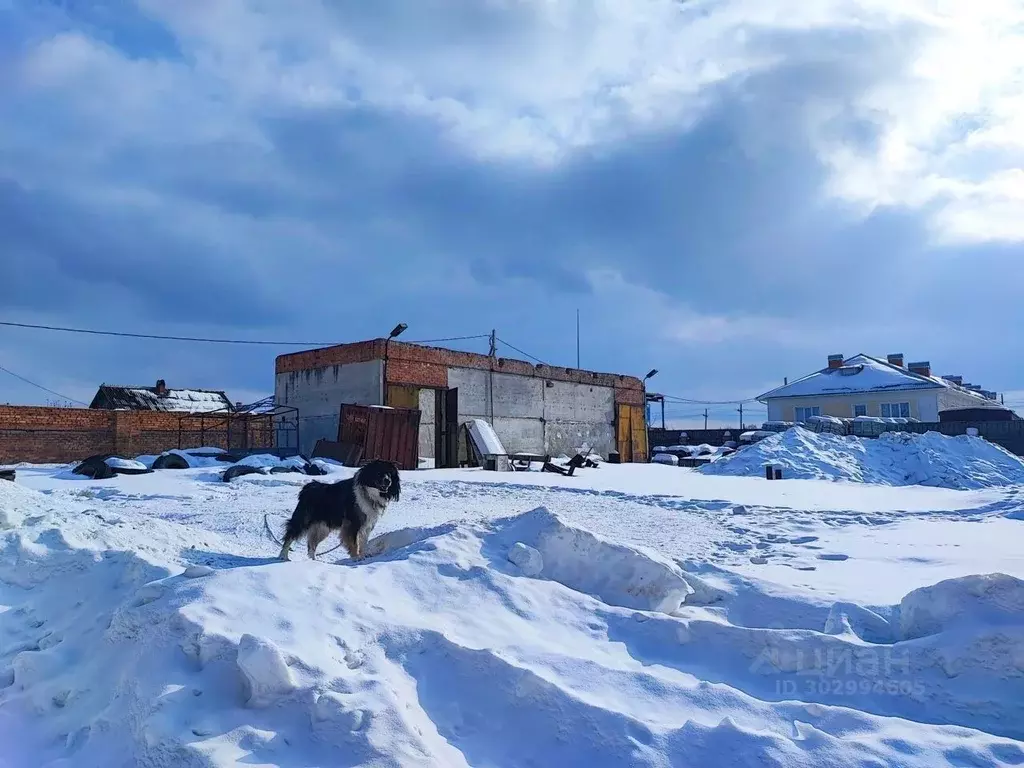 Помещение свободного назначения в Свердловская область, Камышлов ул. ... - Фото 1