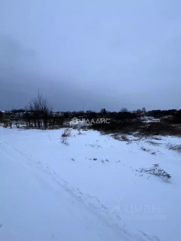 Участок в Калининградская область, Приморск ул. Промышленная (10.0 ... - Фото 2