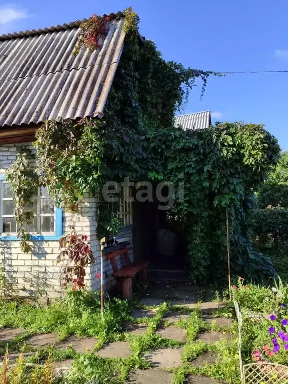 Дом в Курганская область, Курган Дружба КЗКТ СНТ,  (37 м) - Фото 1