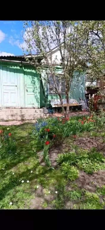 Участок в Брянская область, Брянск Коммунальник садовое общество, 250 ... - Фото 1