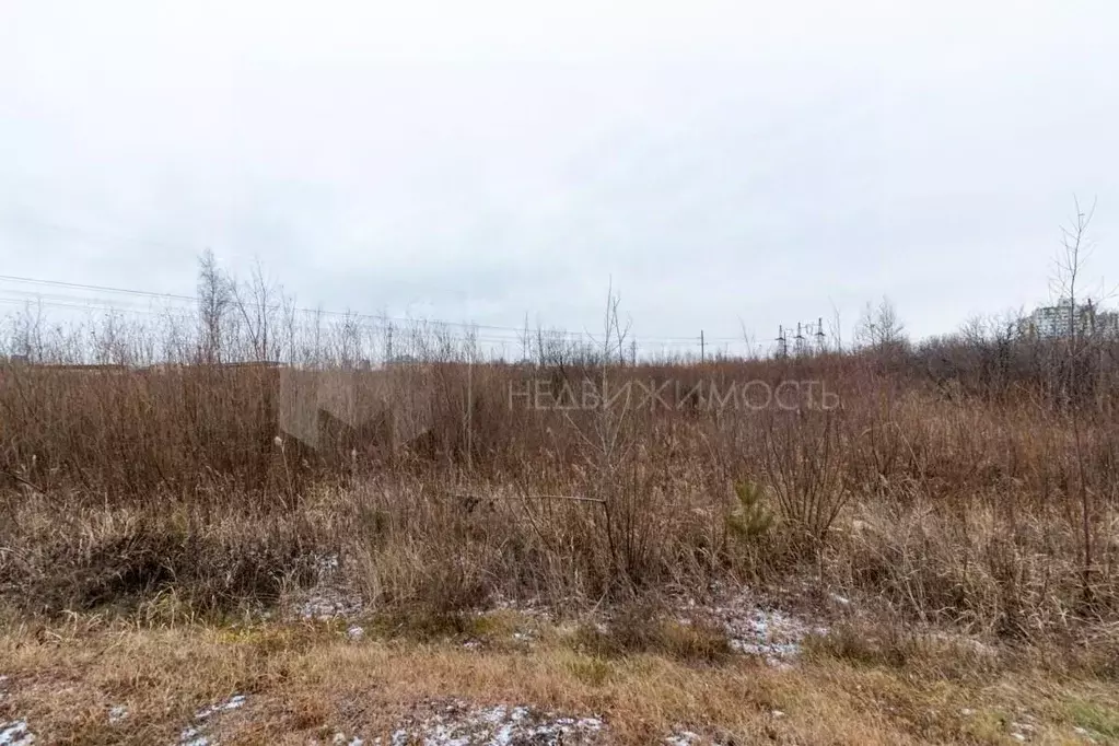 Участок в Тюменская область, Тюмень Малинка садовое товарищество, ул. ... - Фото 0