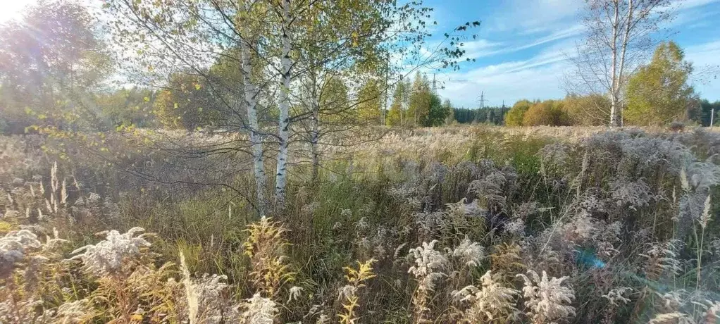 Участок в Владимирская область, Ковров Линейная ул. (9.04 сот.) - Фото 1