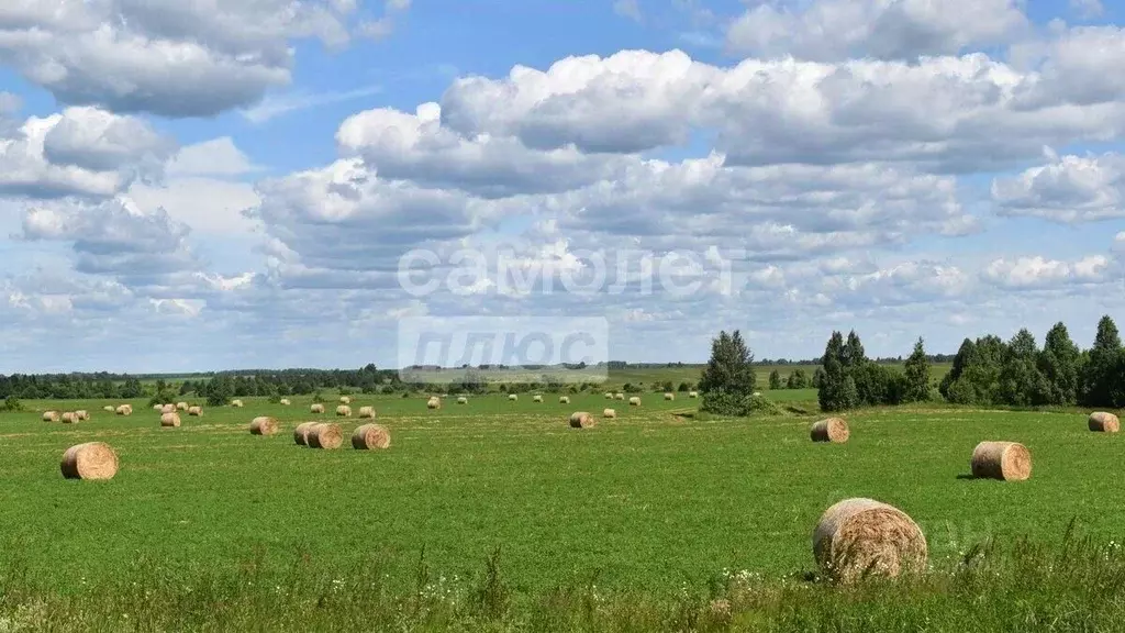 Участок в Рязанская область, Рыбновский муниципальный округ, с. ... - Фото 1