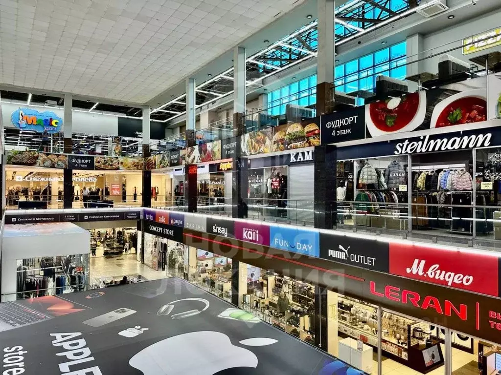 Торговая площадь в Омская область, Омск ул. Березовского, 19 (220 м) - Фото 2