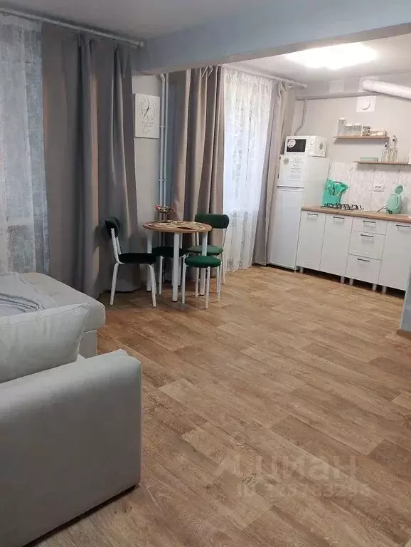 Студия Тульская область, Ефремов ул. Шлихтера, 1 (31.0 м) - Фото 2