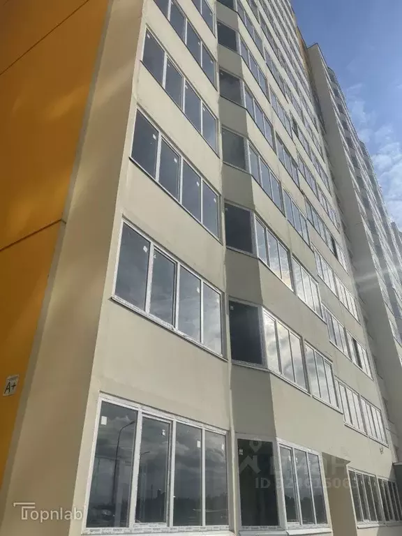 Студия Московская область, Солнечногорск городской округ, Голубое пгт ... - Фото 1