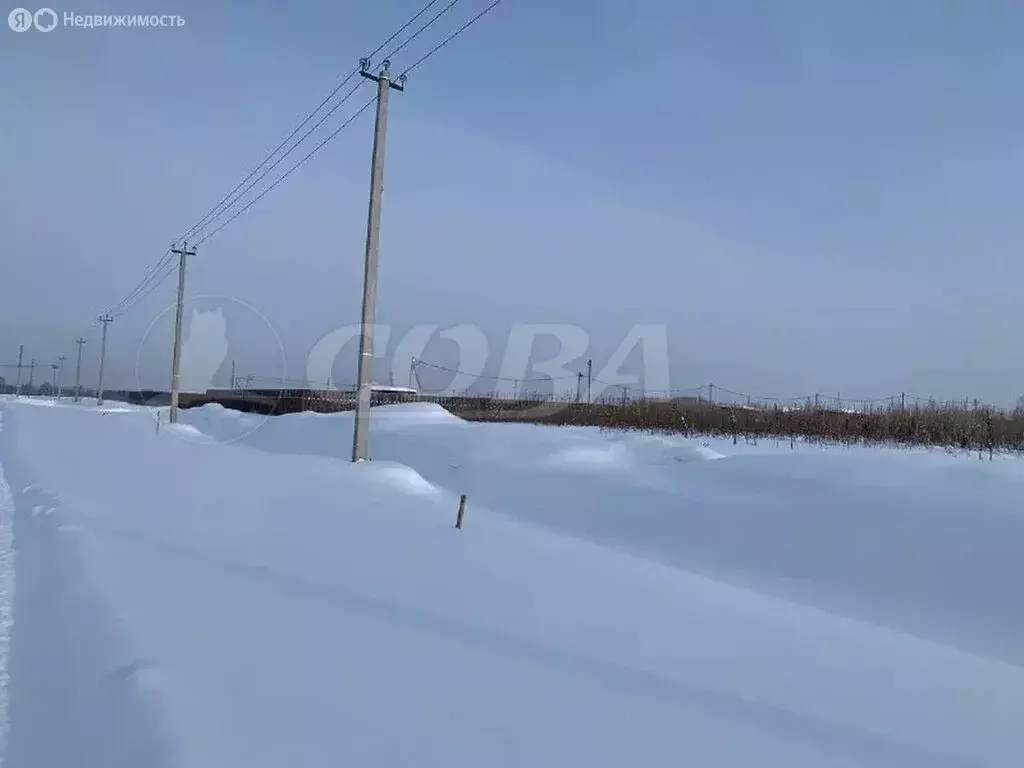 Участок в Тюменский муниципальный округ, деревня Большие Акияры (8.8 ... - Фото 2
