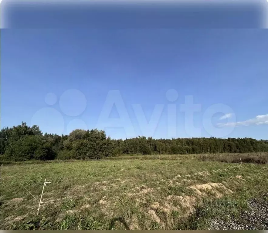 Участок в Московская область, Домодедово Светлый кп, 5 (7.0 сот.) - Фото 0