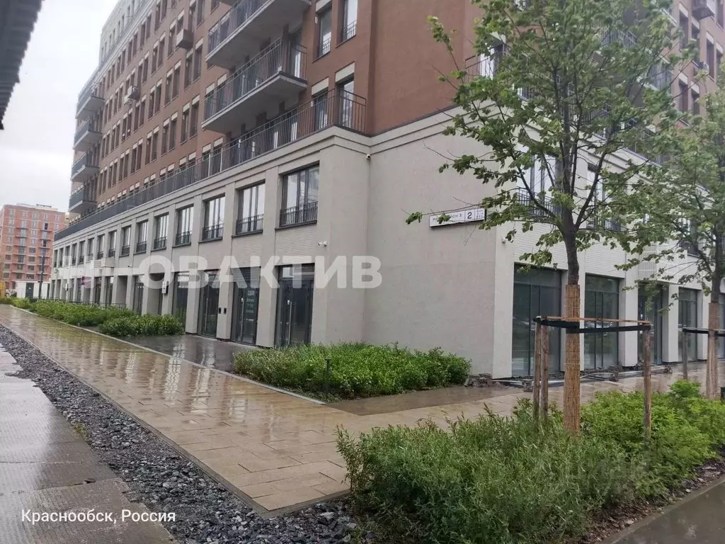 Помещение свободного назначения в Новосибирская область, Новосибирский ... - Фото 0