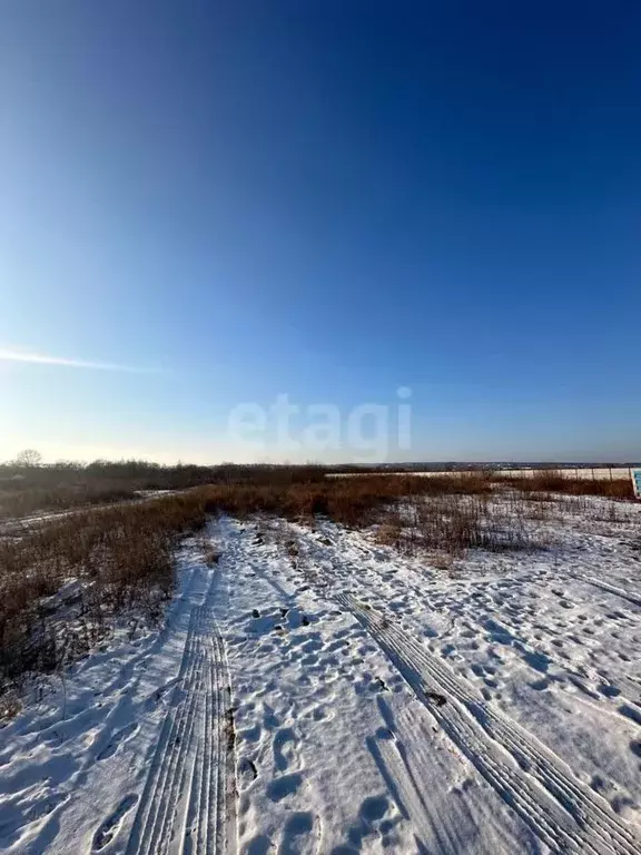 Участок в Амурская область, Благовещенский район, с. Чигири  (9.0 ... - Фото 0