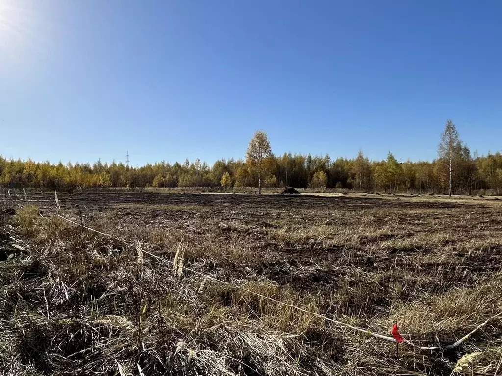 Участок в Московская область, Пущино Серпухов городской округ, проезд ... - Фото 1