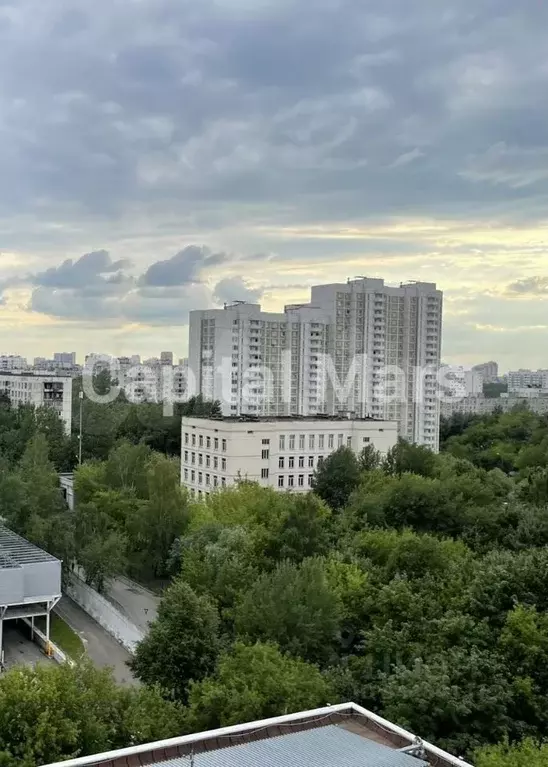 1-к. квартира, 16 м, 12/21 эт. - Фото 1