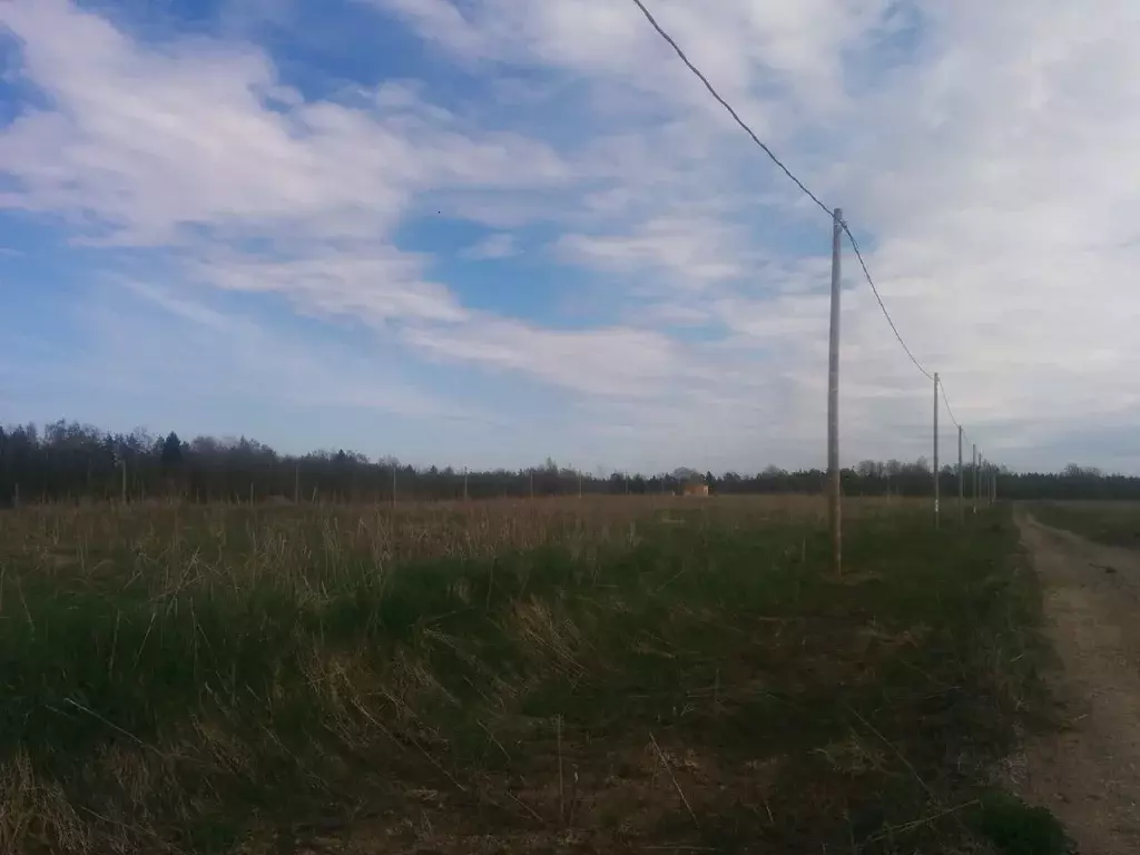 Участок в Ленинградская область, Выборгский район, Первомайское с/пос, ... - Фото 1