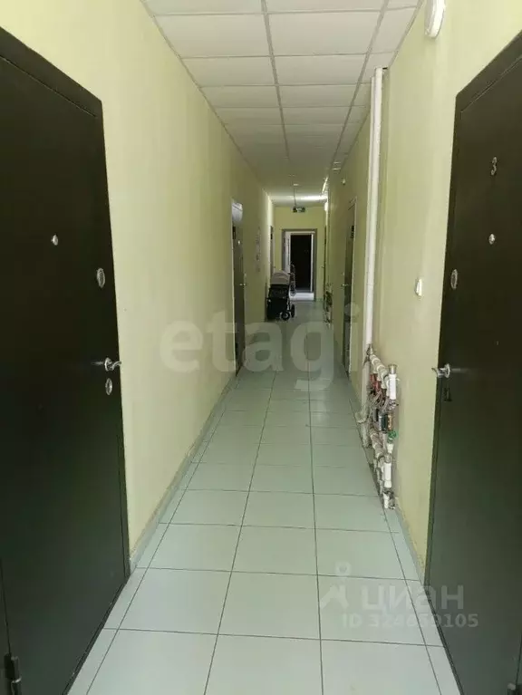 1-к кв. Белгородская область, Вейделевка рп ул. Мира, 67А (29.2 м) - Фото 1