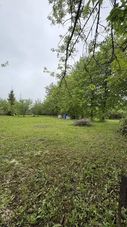Участок в Московская область, Кашира городской округ, д. Тарасково ул. ... - Фото 1