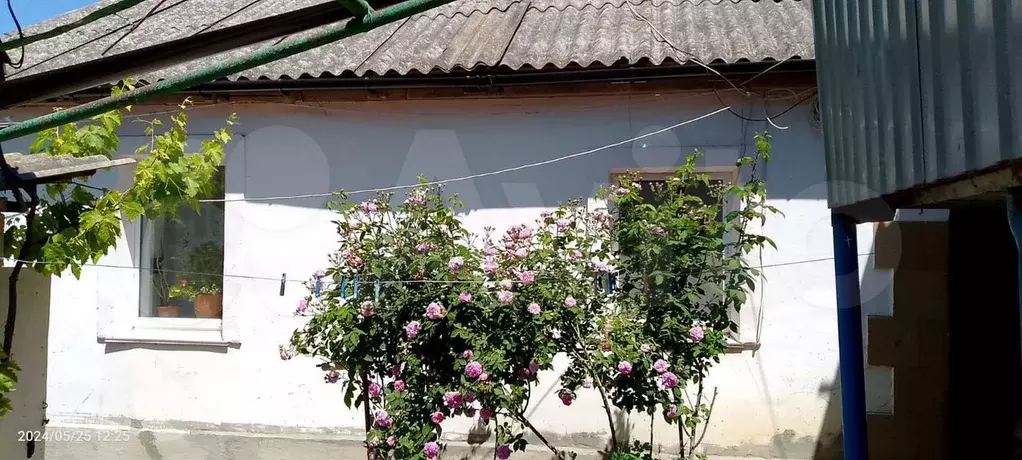 Дом 52 м на участке 8 сот. - Фото 1