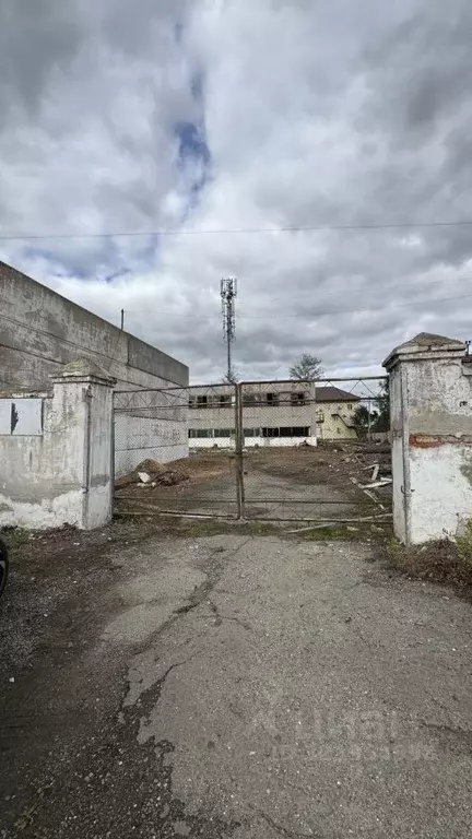 Производственное помещение в Челябинская область, Южноуральск ул. ... - Фото 1