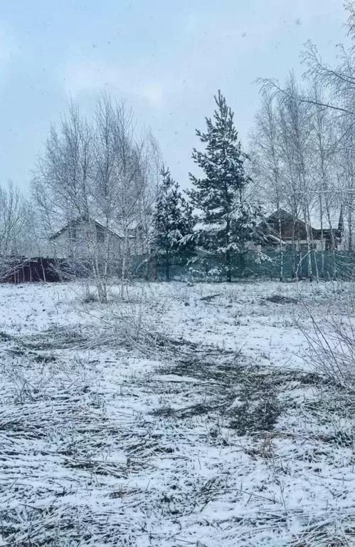 Участок в Нижегородская область, Богородский муниципальный округ, д. ... - Фото 2